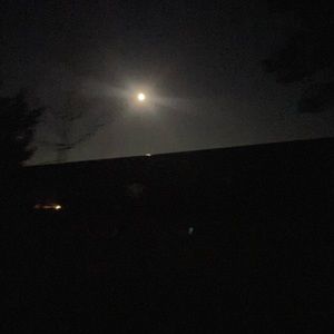 Meet your Posher, Daryl